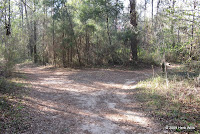 Go right onto the Ravine Trail and start looking for the ravine on your right.