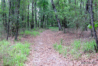 The East Loop along the shore of Lake Talquin.