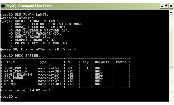 Database RUMAH SAKIT Menggunakan SQL: DATABASE RUMAH SAKIT MENGGUNAKAN ...