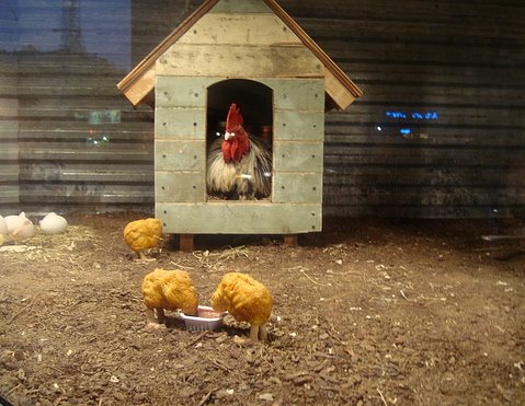 [3164_ad0e2c65f3cdfe24868c6a297e8c6798.jpg]