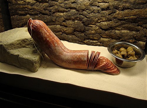 [3164_e2ea0a3734dd45d53a2420ba4caceb5d.jpg]