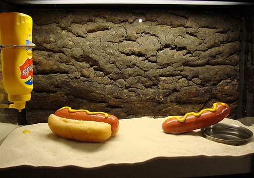 [3164_67fb0188adf897efaa83e4f42da8b74b.jpg]