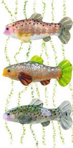 Fish Beads and Spirituality