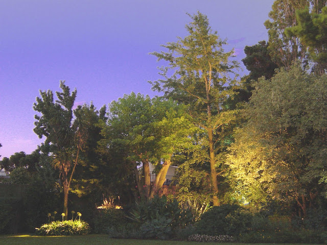 iluminacion E.P.S.I.: iluminacion de parques y jardines