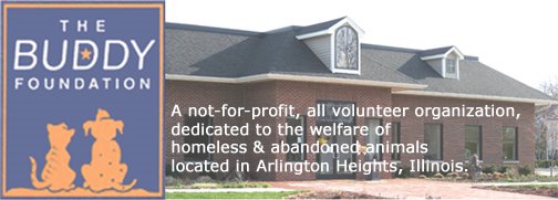 The Buddy Foundation