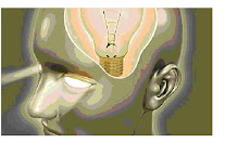 SINERGIA CONSULTORIA ORGANIZACIONAL