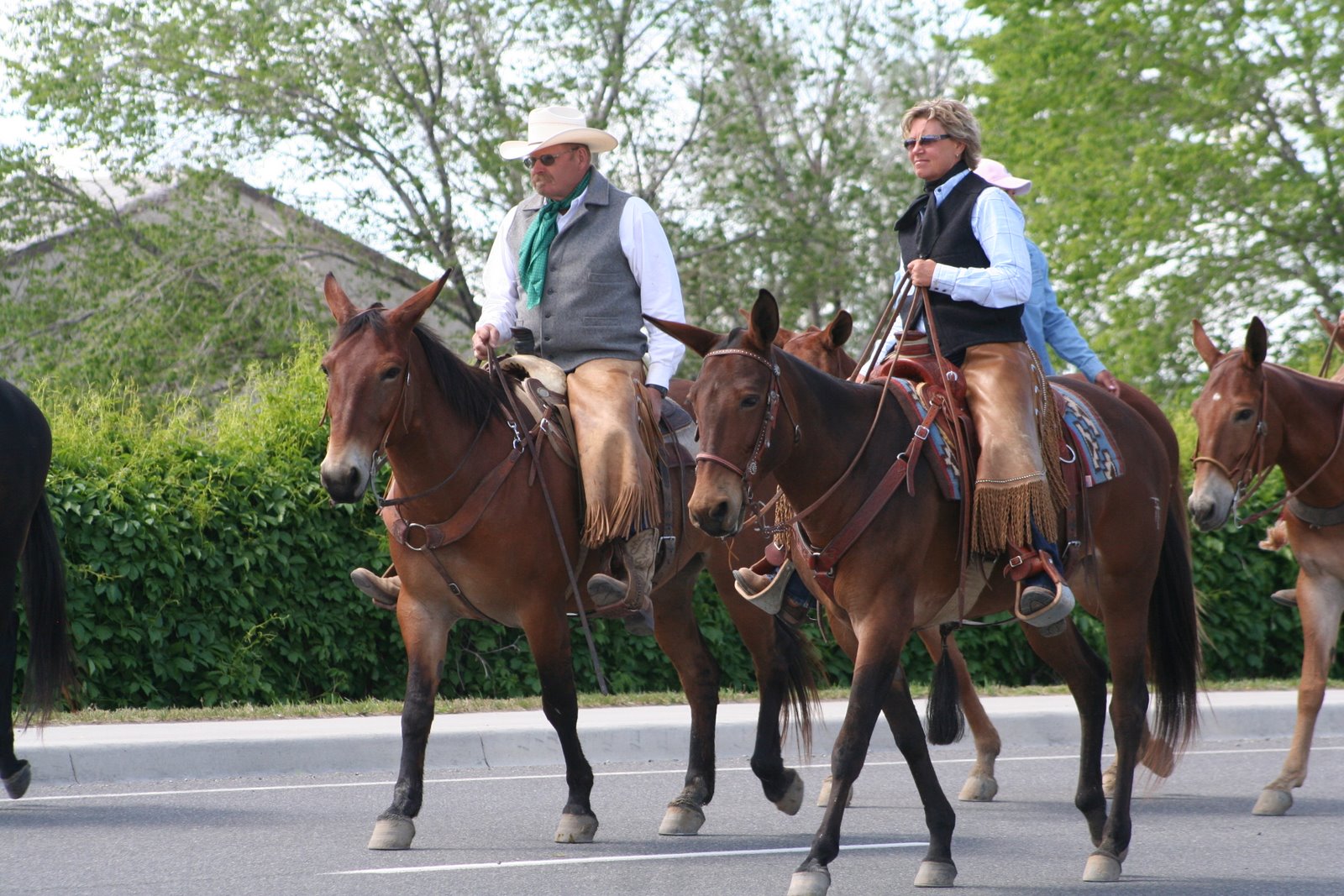 PairADice Mules: Jake Clark Mule Parade