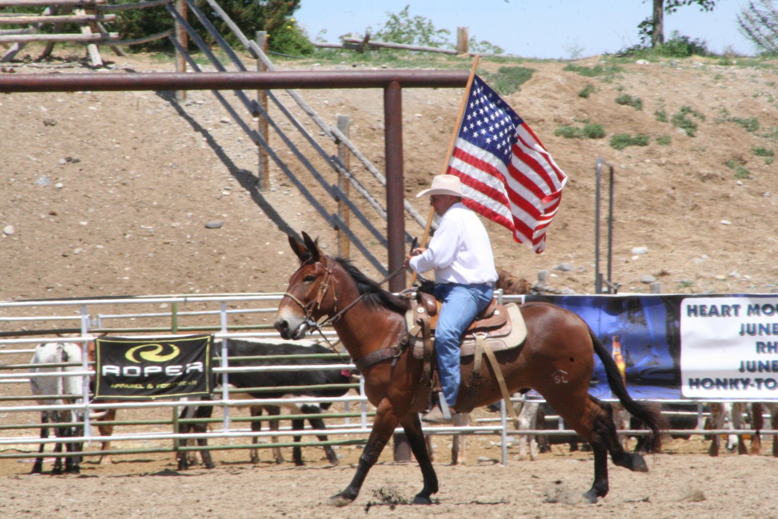 PairADice Mules: Getting Ready for the Rodeo, Jake Clark Days