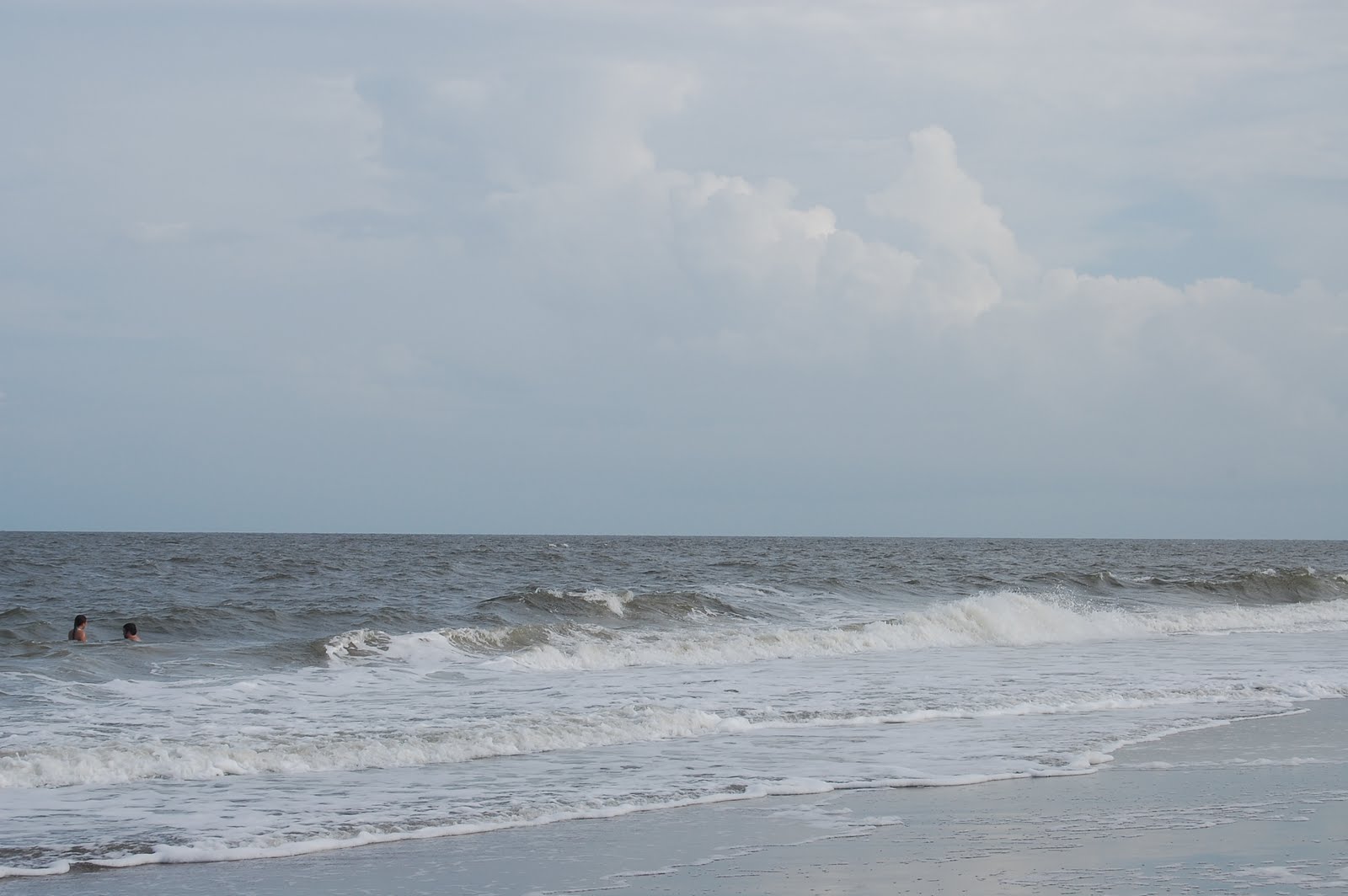 [DSC_0158.JPG]