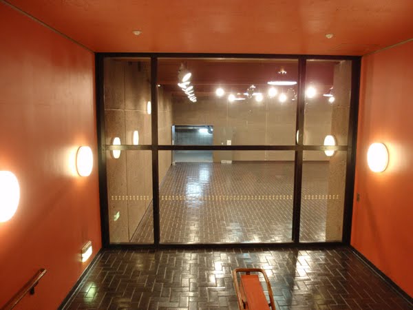 ソニック映画が最初のティーザーを公開、ハリネズミ「カネルド」と意見を共有