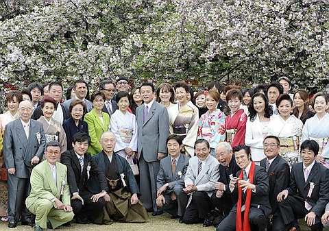 [cherry+blossoms+4.jpg]