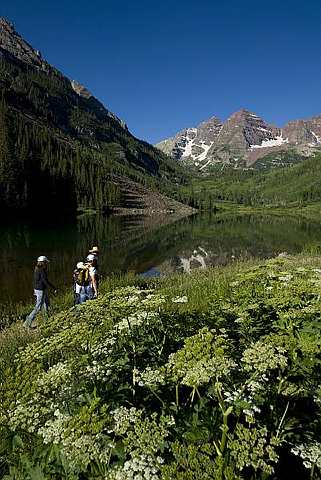 [Aspen+Chamber+1.jpg]