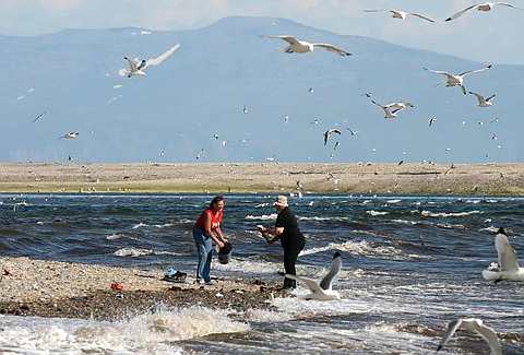 [Soviet+rule+failed+4.jpg]