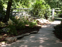 NEW PATH TO THE POOL GARDEN