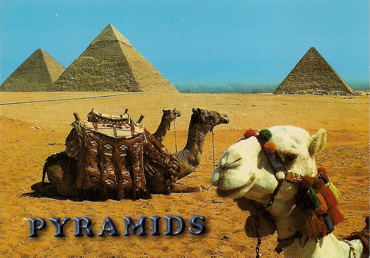 MY UNESCO WHS POSTCARDS COLLECTION EGYPT Memphis and its Necropolis