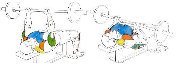 press de banca con agarre cerrado para triceps