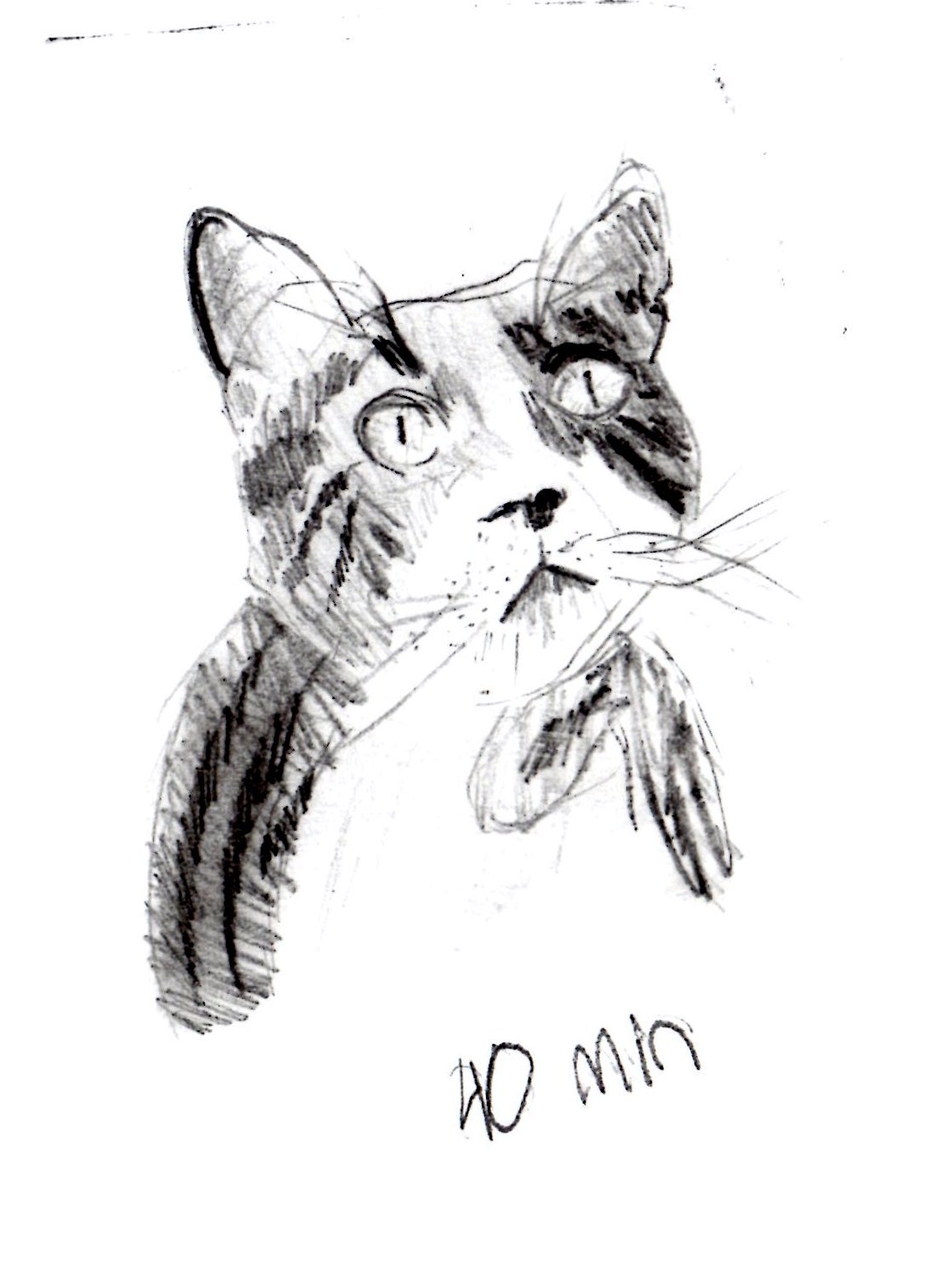 [Cat+Katie+Mullins.jpg]