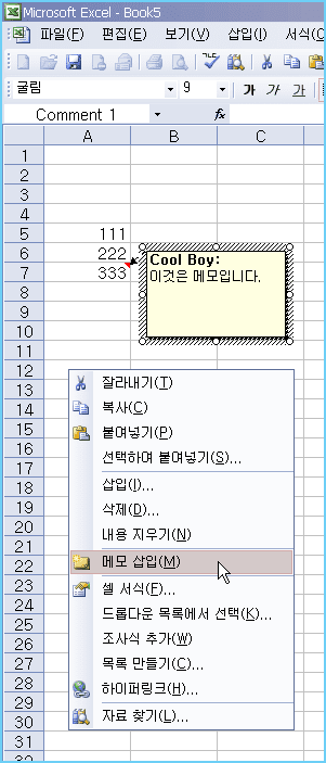 엑셀 말풍선 넣기