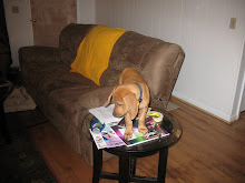 The Puppy on the End-Table