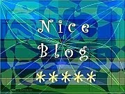 Nice Blog Award