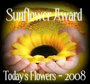 Blog Award - Today's Flowers 2008