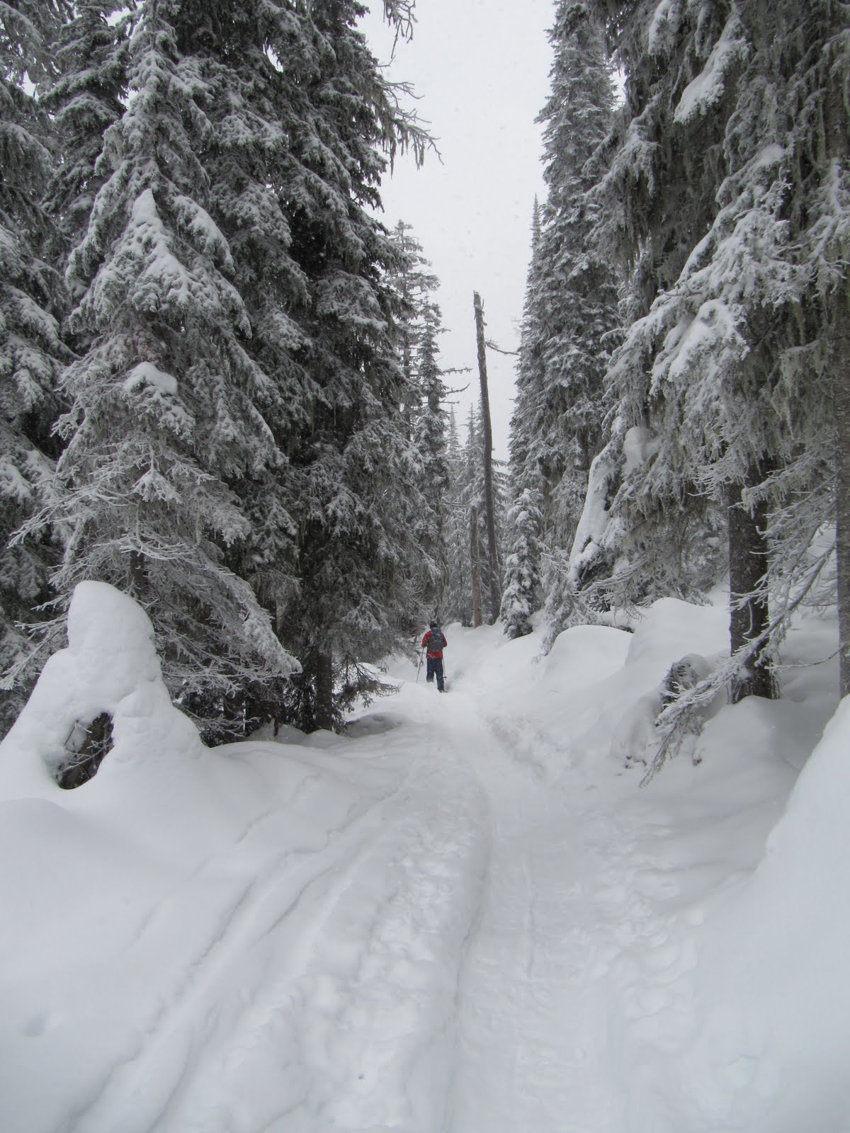 Backpacker Rose Snowshoeing Mount Spokane