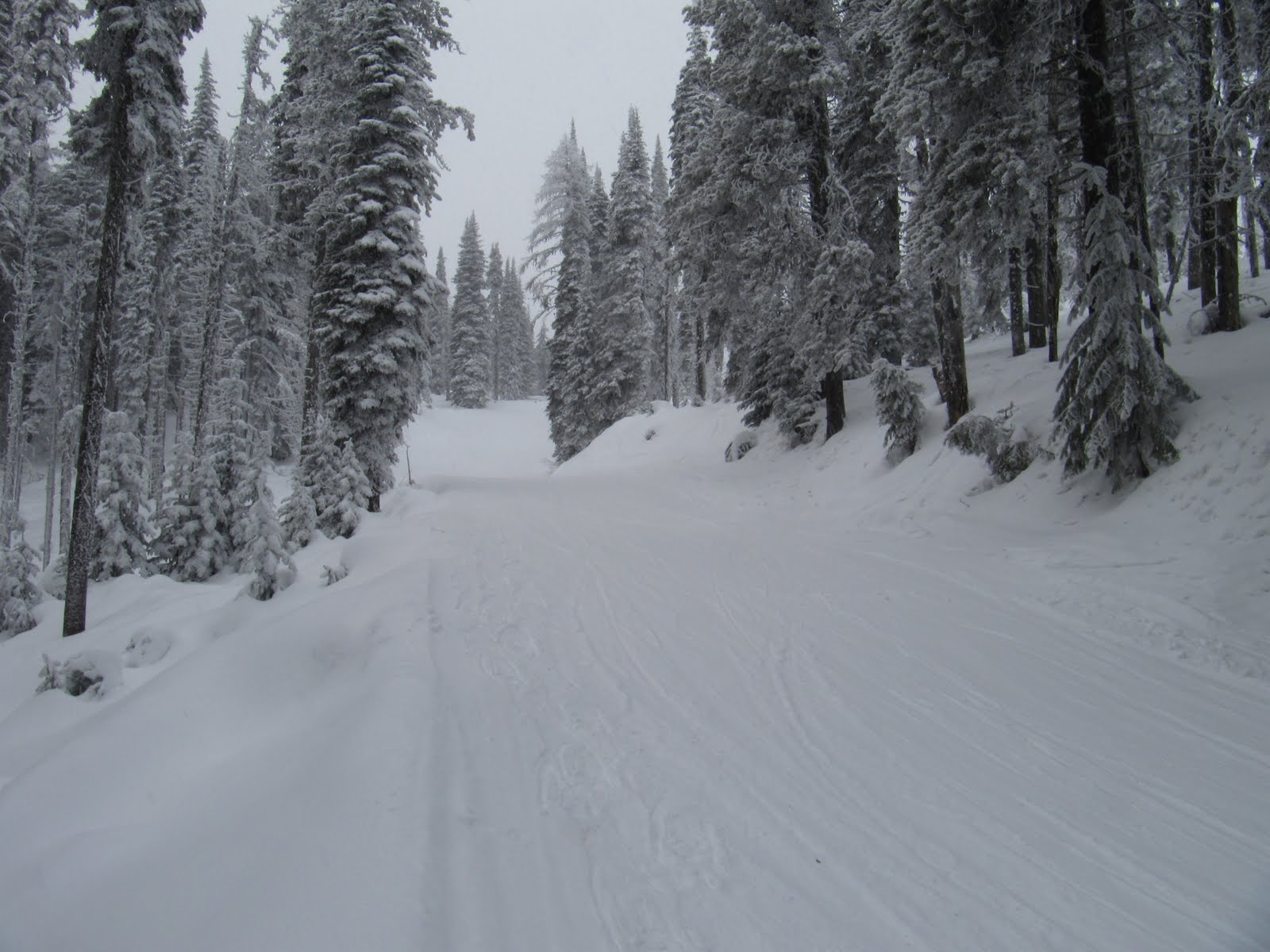 Backpacker Rose Snowshoeing Mount Spokane