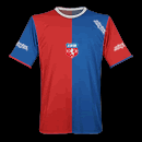 CAMISETA DE ALBION F.C.