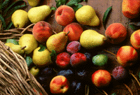 Fruit and Basket