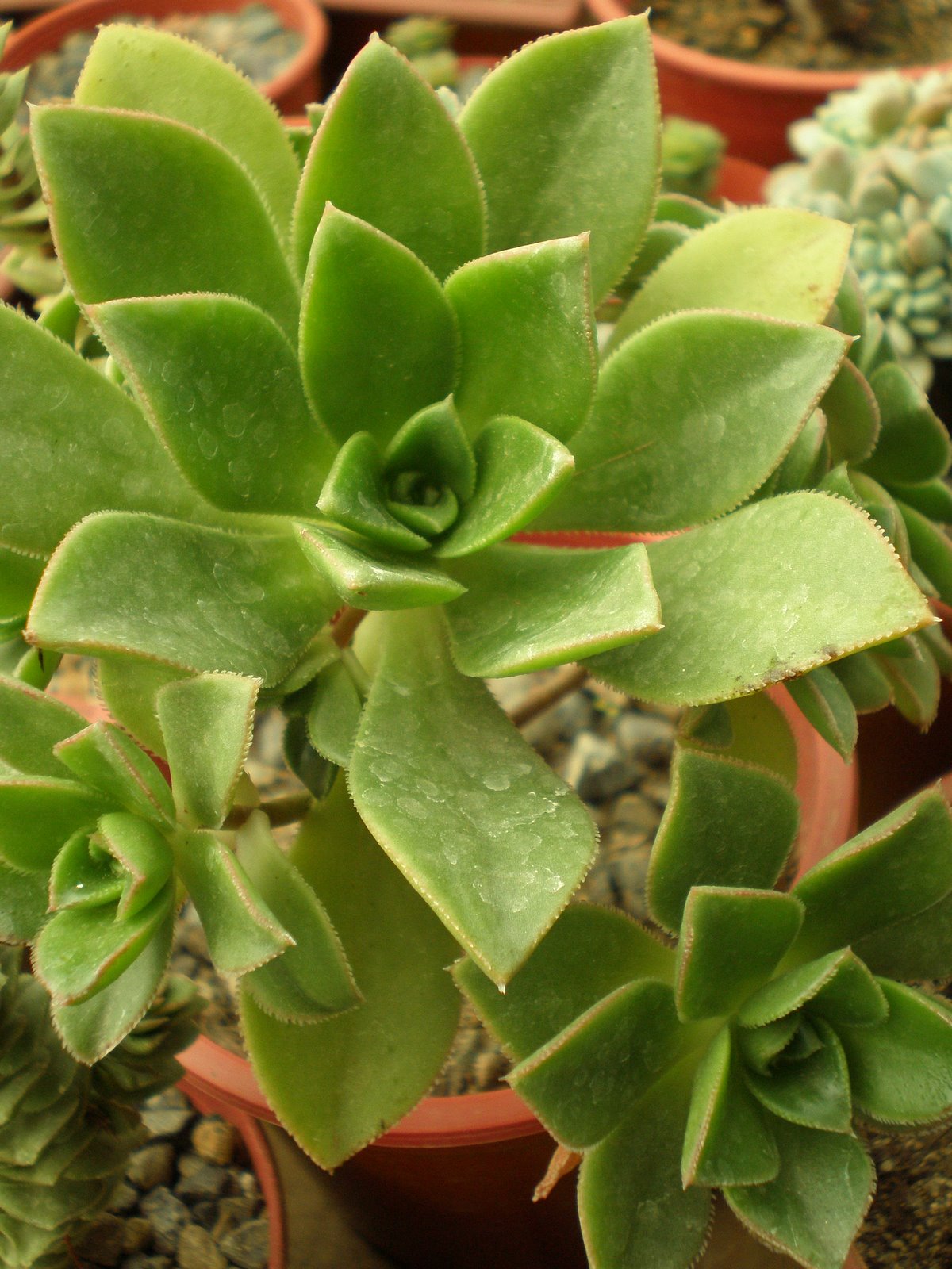 [P8040032.JPG]