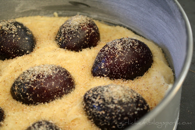 ready for oven