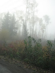 In a Fog