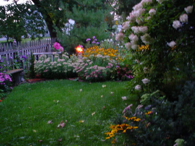 Front yard garden in late summer