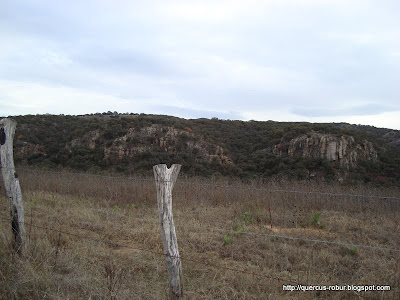 Las paredes que rodean el Cerro Jacal de Piedra