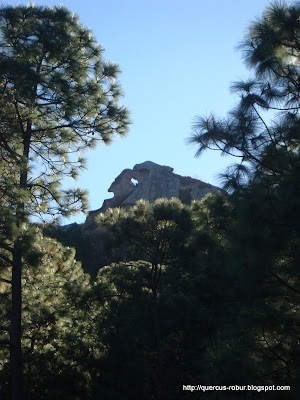 Cerro de la Campana visto desde su base