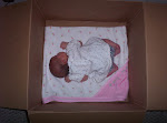 Veronica sleeping in a box when we were still packing up from our old house :)