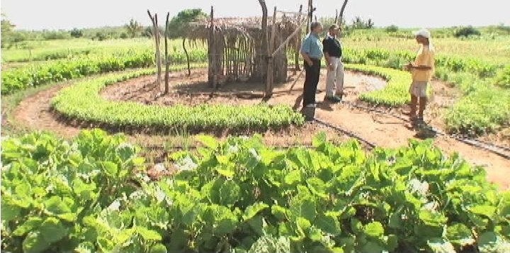 [técnicas+agroecológicas.jpg]