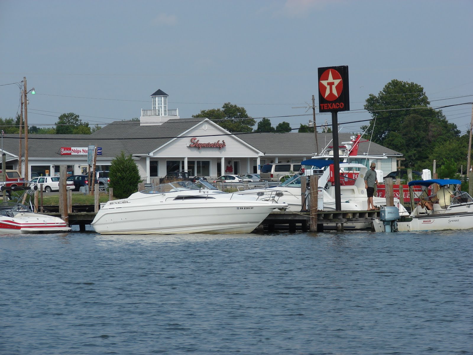 33 44 66 NPS Trip Day 43 Cobb Island, MD