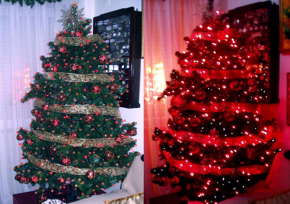 [P1010404cópia.jpg]