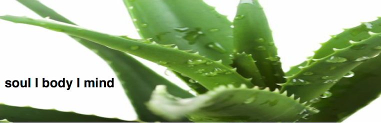 soul I body I mind