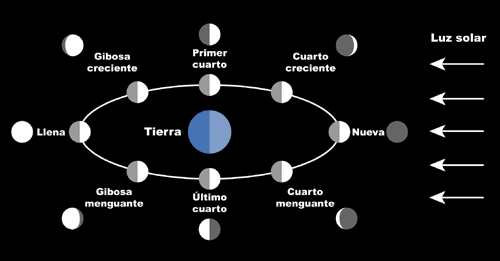 Astronomía Enero 2011