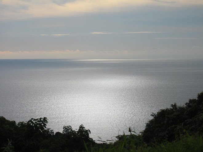 kata noi