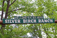 Mississippi Cowgirls: Silver Birch Ranch