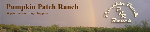Pumpkin Patch Ranch