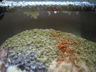 KASHMIRI MEATBALLS IN A GRINDLESS GRAVY! 15 IMG 8404