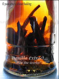 HIGH ON VANILLA...PUTTING THE SPIRIT BACK IN THE BEANS! HIGH ON VANILLA...PUTTING THE SPIRIT BACK IN THE BEANS!