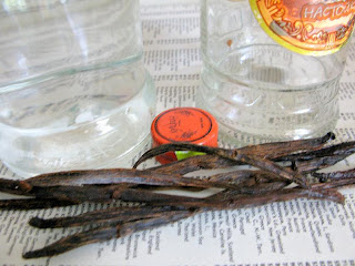 HIGH ON VANILLA...PUTTING THE SPIRIT BACK IN THE BEANS! 15 IMG 3562