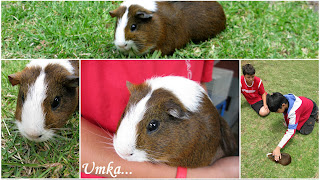 HELLO AGAIN...AM BACK FROM BEAUTIFUL SYDNEY! 48 2008 11 18