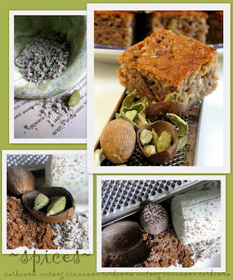 Cardamom Spiced Cake ... spicing up life with cardamom 21 2009 02 24+spice+cake+cardamom4
