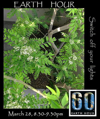 VOTE FOR THE EARTH - Switch off your lights for an hour! VOTE FOR THE EARTH - Switch off your lights for an hour!